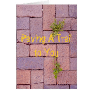 Paving Stones and Weeds In The Walkway Photograph