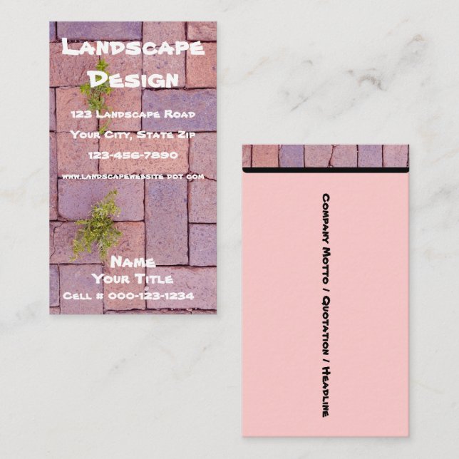 Paving Stones and Weeds In The Walkway Photograph Business Card (Front/Back)