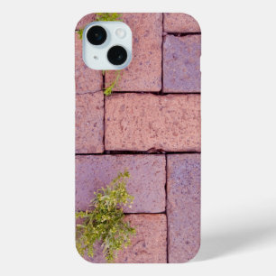 Paving Stones and Weeds In The Walkway Photograph iPhone 15 Mini Case