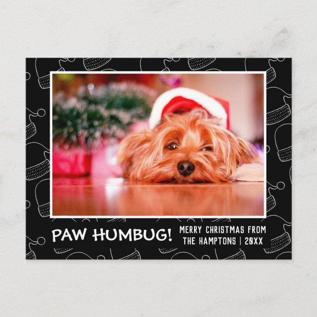 Paw Humbug Pet Photo Black Santa Hat Holiday Postcard (Front)