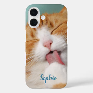 Paw Licking Cat iPhone 16 Case