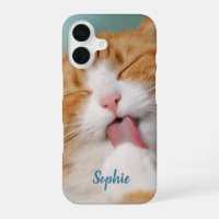 Paw Licking Cat