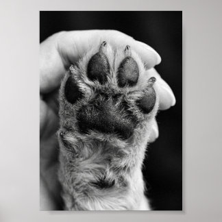Paw Photo Custom 5 by 7 Photo Pet Keepsake Poster