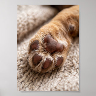 Paw Photo Custom 5 by 7 Photo Pet Keepsake Poster