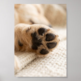 Paw Photo Custom 5 by 7 Photo Pet Keepsake Poster