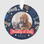 Paw Print & Bones Pattern | Animal Pet Photo