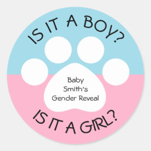 Paw Print Gender Reveal Classic Round Sticker