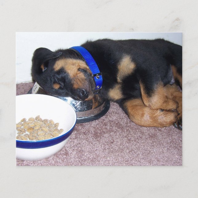 paw print on your heart pet loss memorial card (Front)