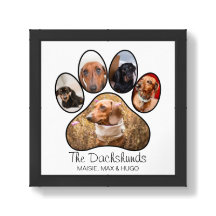 Paw Print Stylish Custom Photo Collage with Text