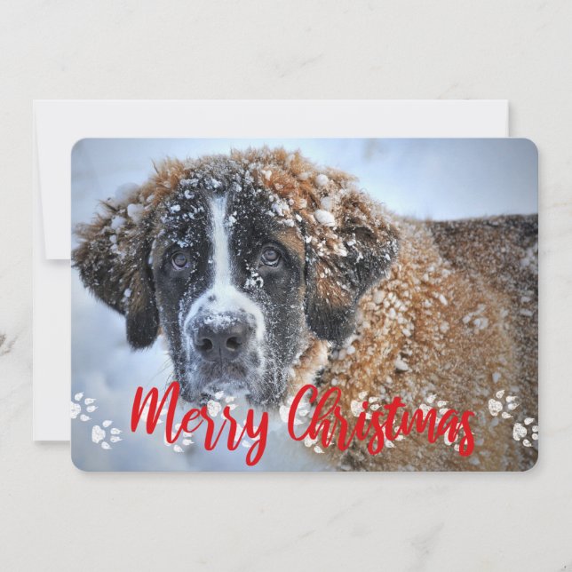 Paw Prints, 2 Photo, Merry Christmas, Pet Holiday Card (Front)