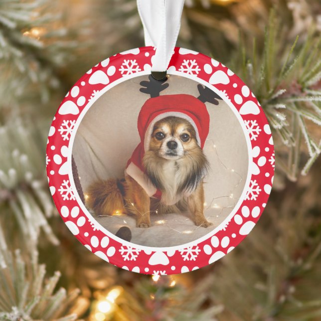 Paw Prints and Snowflakes Frame Custom Pet Photo Ornament (Tree)