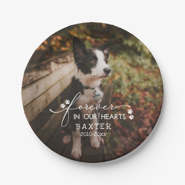 Paw Prints Forever In Our Hearts Pet Photo Paper Plate (Front)