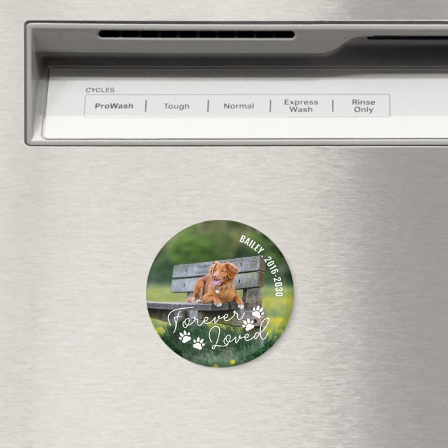 Paw Prints Forever Loved Name Curved Text Magnet (In Situ (Dishwasher))