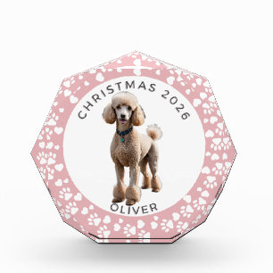 Paw Prints Hearts Frame Custom Photo Pet Memorial Block