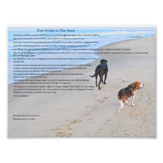 Paw Prints in The Sand 8.79" x 6.59"  Print