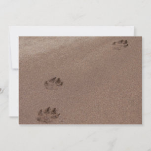 Paw Prints in the Sand Invitation