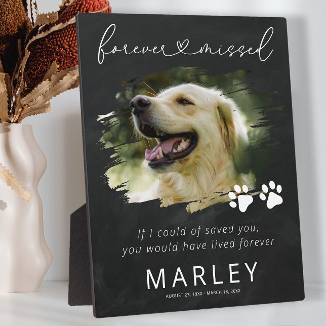 Paw Prints Keepsake Pet Memorial Photo Plaque (Creator Uploaded)