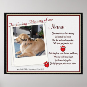 Paw Prints on My Heart Pet Memorial - Dog Cat