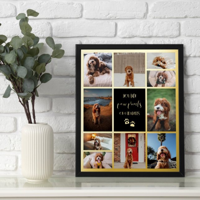 Paw Prints On Our Hearts Pet Memorial Collage (Creator Uploaded)