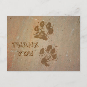 Paw Prints on Stone Thank You Postcard