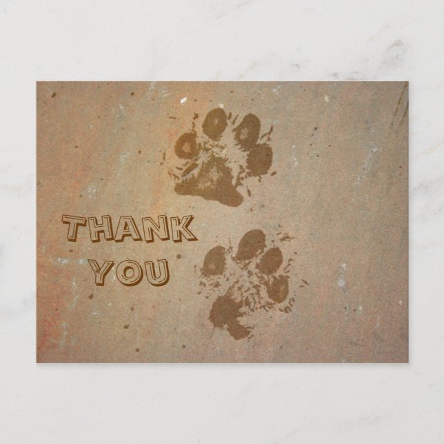 Paw Prints on Stone Thank You Postcard (Front)