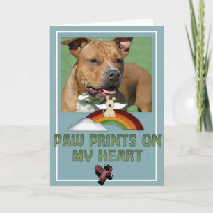 Paw Prints Photo Pet Sympathy Greeting Card