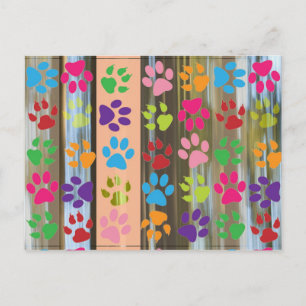 Paw Prints Postcard