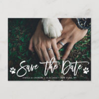 Paw Prints Wedding Save the Date Photo