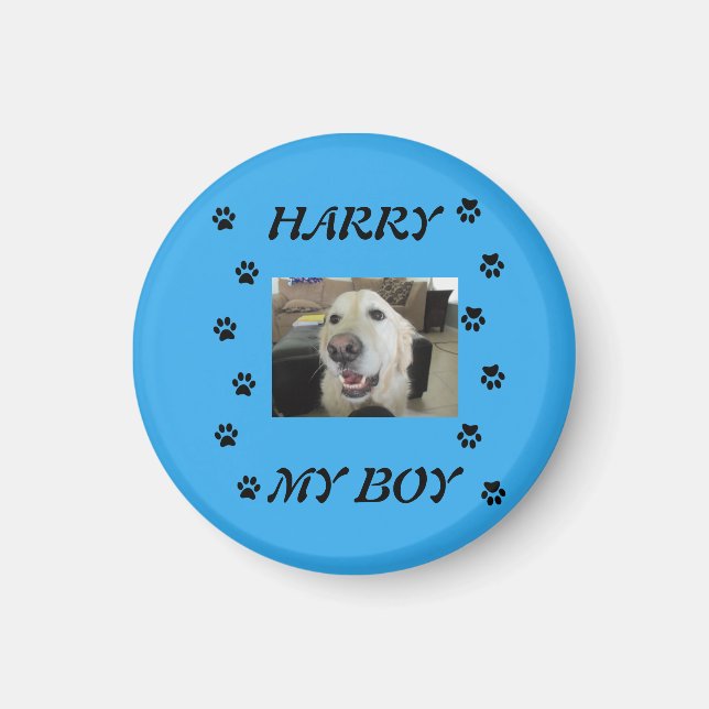 Paw Prints with 1 Pet's Photo and Name Magnet (Front)