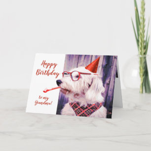 Paw-sitively Grrr-eat Birthday Grandma Dog Fun Card