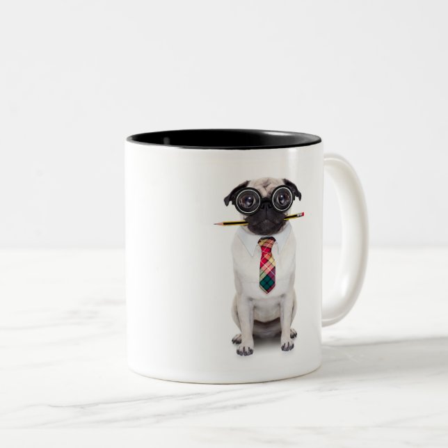 Paw-some Accountant Mug (Front Right)