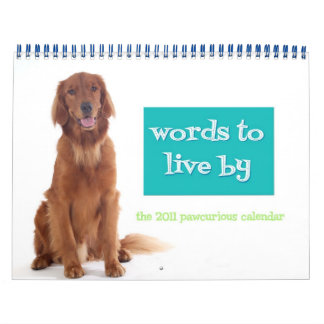 Pawcurious 2011 Calendar