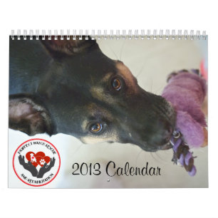 Pawfect Match 2013 Calendar