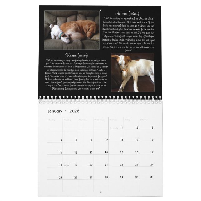 Pawfect Match 2015 Calendar (Jan 2026)