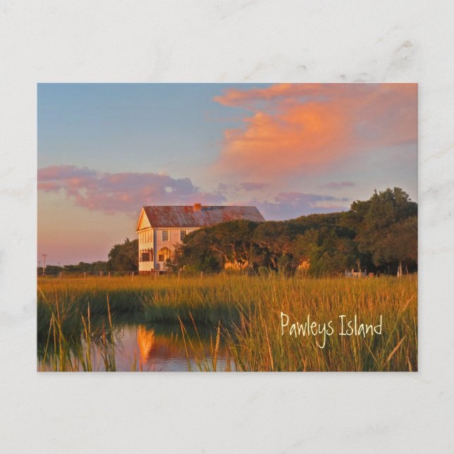 Pawleys Island Pelican Inn Postcard (Front)