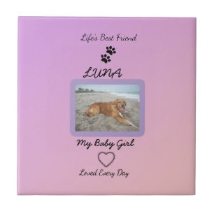 Pawprint Heart Everyday Pet Ceramic Tile
