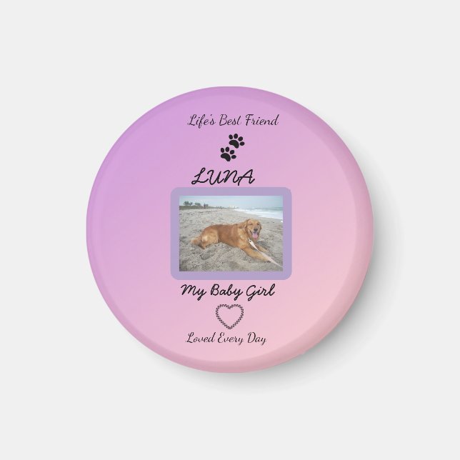 Pawprint Heart Pet Joy Magnet (Front)