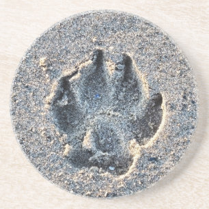 PAWPRINT IN THE SAND    COASTER