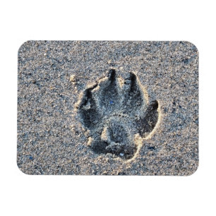 PAWPRINT IN THE SAND   MAGNET