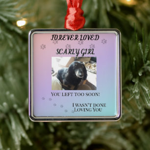 Pawprints Across the Rainbo Tribute Metal Ornament