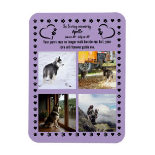 Pawprints of Love Photo Magnet