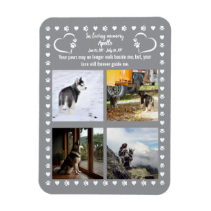 Pawprints of Love Photo Magnet