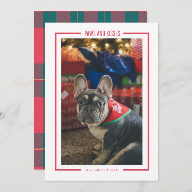 Paws and Kisses Funny Pet Photo Holiday Card (Front/Back)