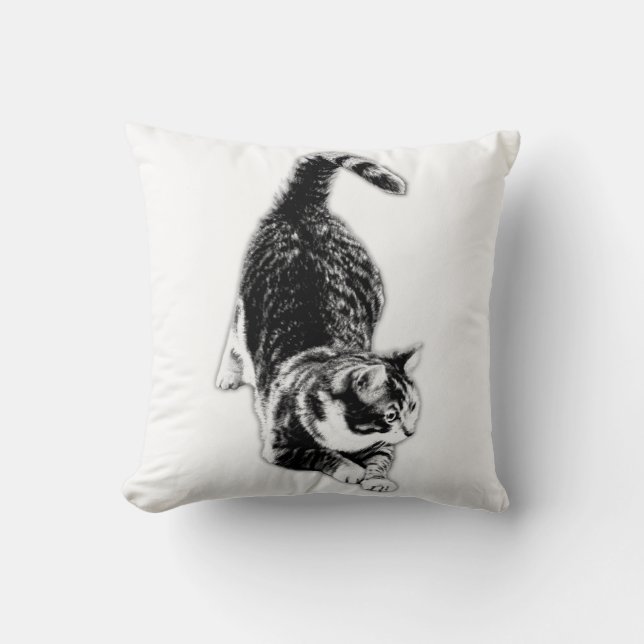 Paws, Claws & Quiet Drama Cushion (Front)