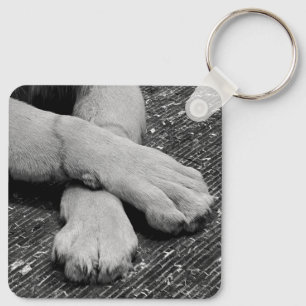 Paws Key Ring