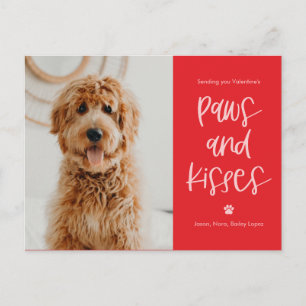Paws Kisses Pets Valentine's Day Postcard
