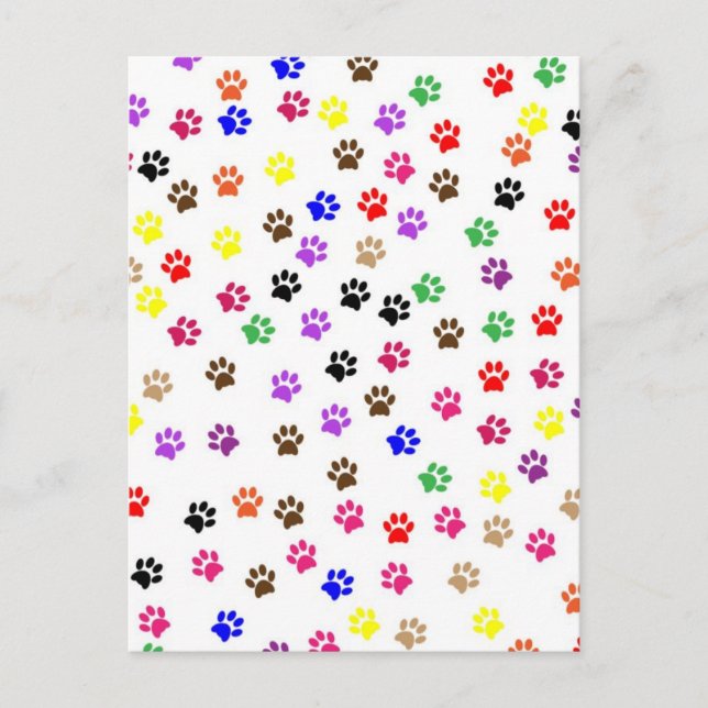 Paws Postcard (Front)