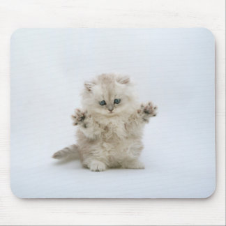 Paws up mouse pad
