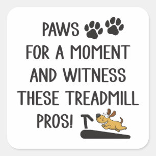Paws & Witness These Treadmill Pros Square Sticker