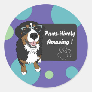 Pawsitively Amazing Education  Classic Round Sticker